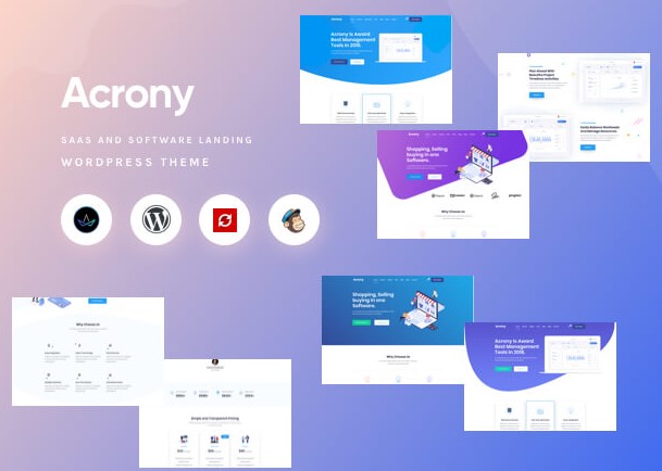 Acrony Software and Saas Free WordPress Theme